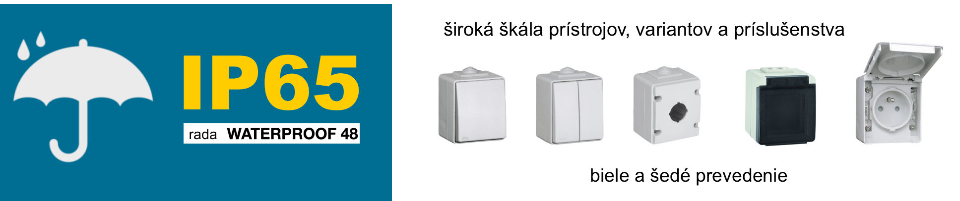 IP