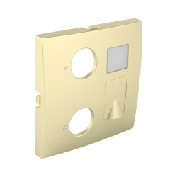 90774 TDU: Kryt z�suvky R-TV-RJ45, zlat�